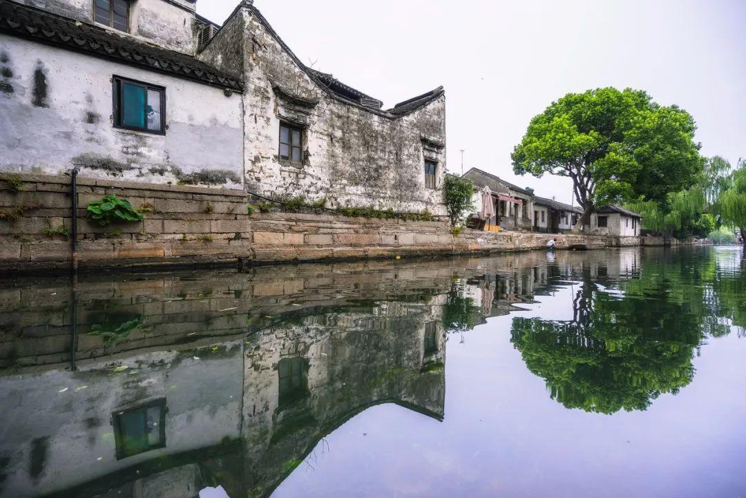 【市政协委员之声】廖文丽委员:支持大足举办亚洲文化遗产保护联盟大会